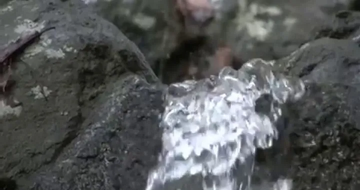 Hell's Gate Metzeler 2013: intervista a Fabio Fasola