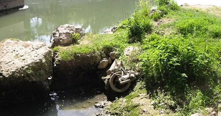 Foto del giorno: aguzza la vista