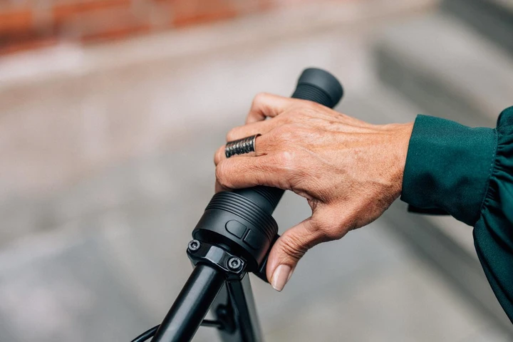 ingrandisci immagine