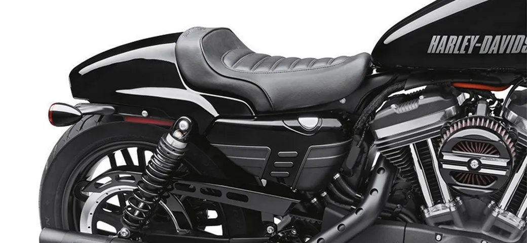Accessori Cafe Custom per Harley-Davidson Roadster
