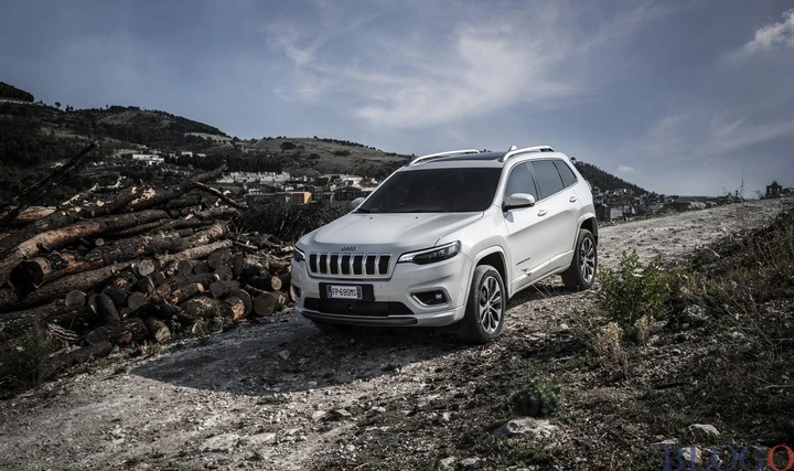 Vendite auto Europa: discesa libera