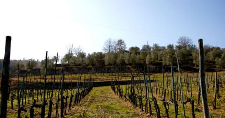 Toscana: sulle strade del Chianti