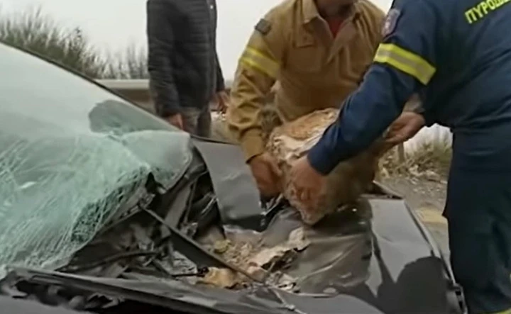 Tragedia sfiorata: masso si stacca e colpisce l'auto sulla strada [Video]