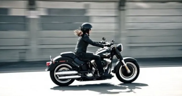 Harley-Davidson Fat Boy Special 2010: sempre più bassa, sempre più dark