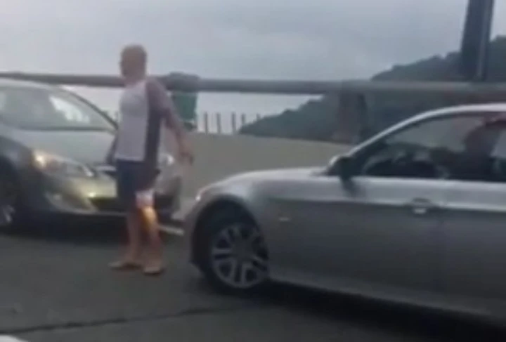 Turista tedesco contromano in Autostrada [Video]
