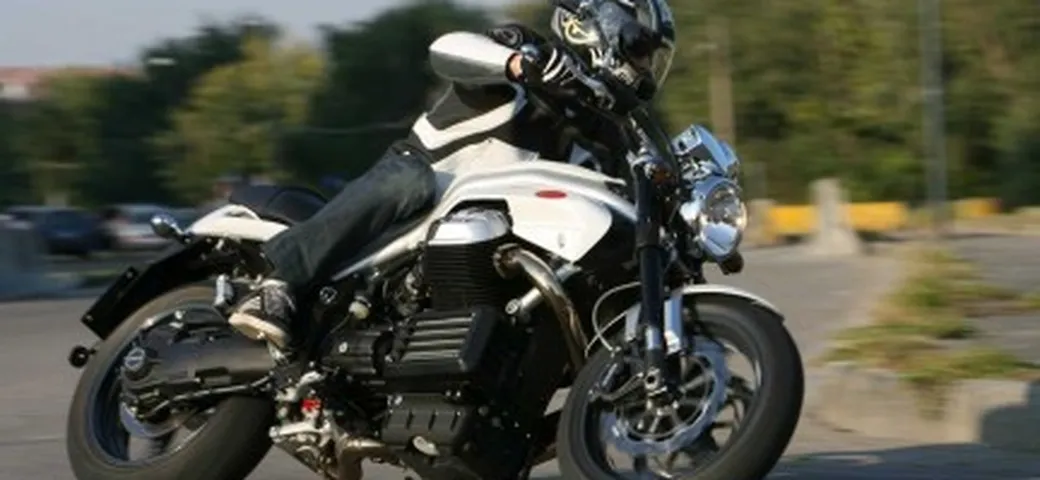 Griso 8V: predatrice di classe