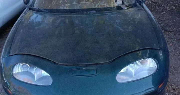 Ha un primato mondiale e ne esistono solo 40 unità: valore elevato