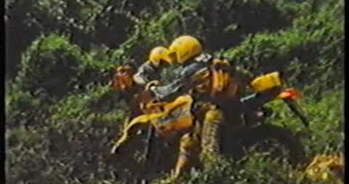 camel_marathon_bike_1988_zaire.VOB