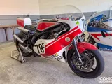Yamaha TZ750: la leggenda che ruggisce ancora sulle piste