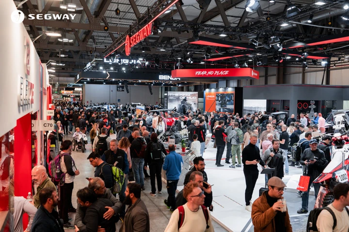 ingrandisci immagine