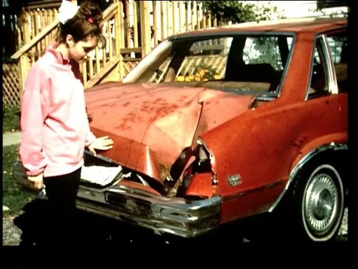 Compra una Chevrolet per 300 dollari, un meteorite la centra: la rivende per 25.000