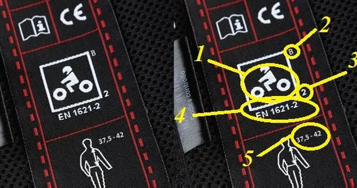 Paraschiena: ecco le nuove norme