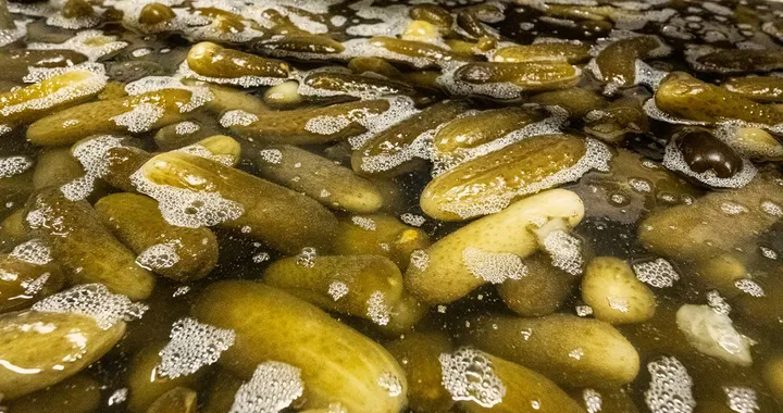 Come si elimina il ghiaccio su strada? Con la salamoia dei cetriolini