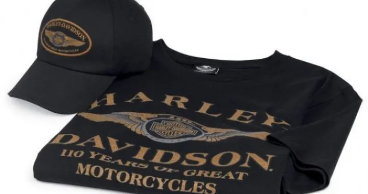 Collezione Harley-Davidson 110th Anniversary 1903 - 2013