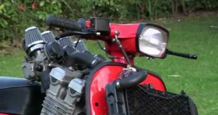 Scuola guida Forestale.