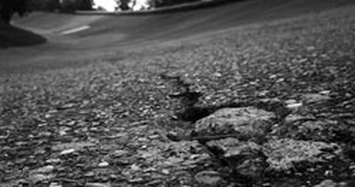 Foto del giorno: la storia in uno scatto