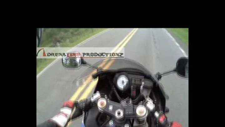 Video: motociclista investe un capriolo