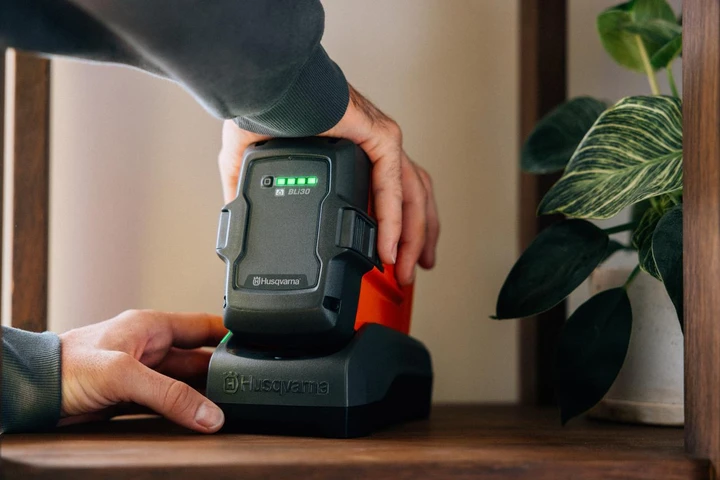 ingrandisci immagine