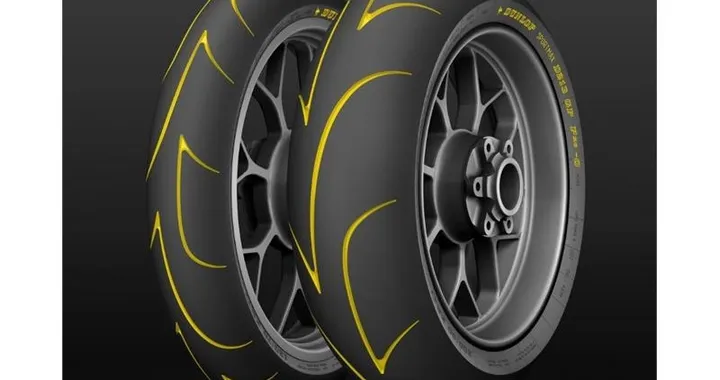 Dunlop D213 GP Pro