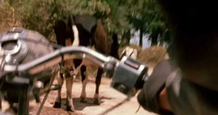 The Motorcycle Diaries (Walter Salles, 2004) - UK Trailer