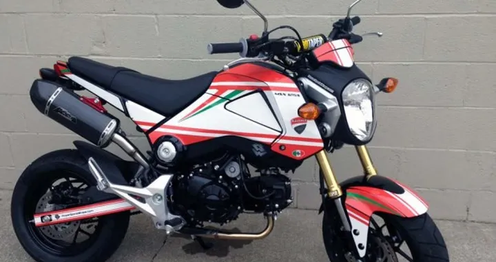 Gromcati by X-Speed Motorland: metà Honda Grom, metà Ducati