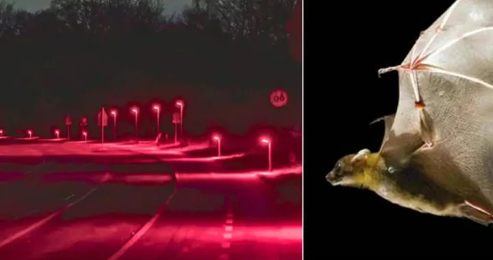 Strade illuminate di rosso: cos’è questa novità