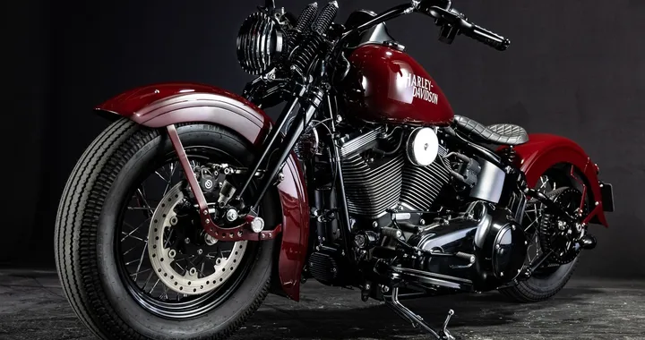 Harley-Davidson Softail "Shishigaya" by Bad Land