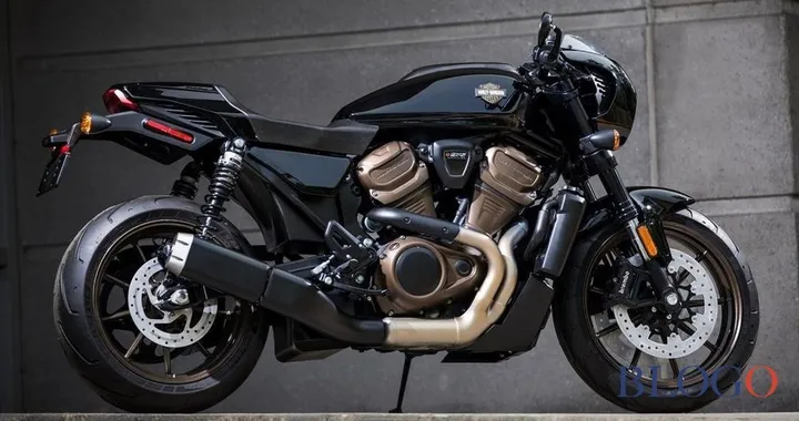 Nuove H-D "Cafe Racer" e "Flat Tracker" in arrivo?