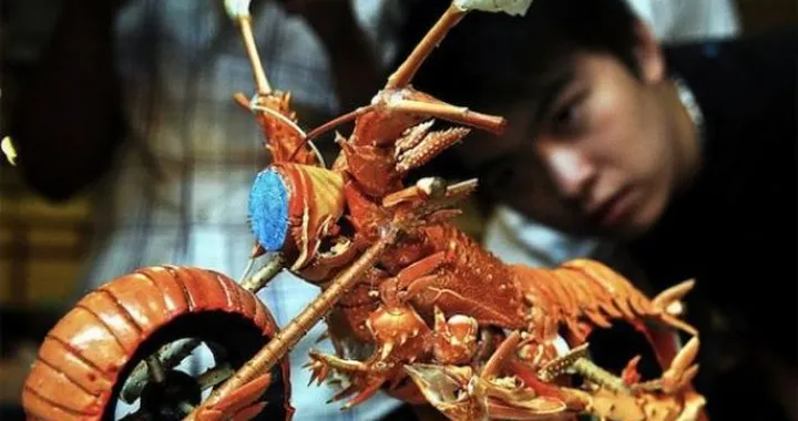 Motocicletta fatta con pezzi di aragosta