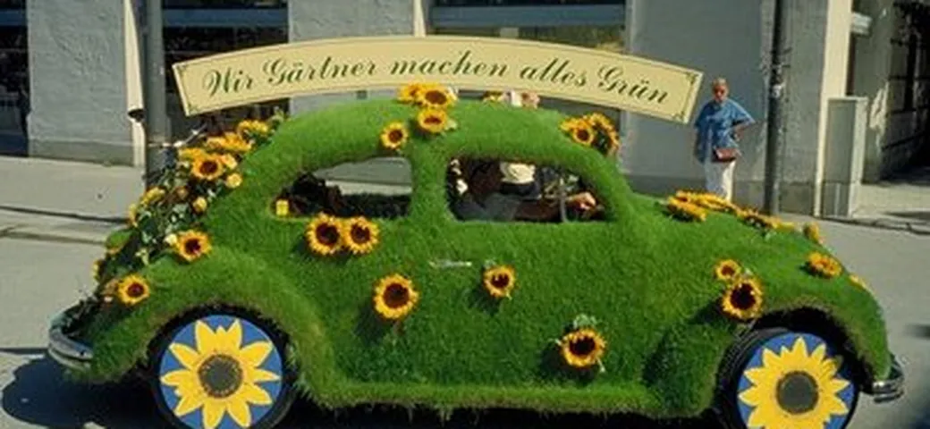 Una collezione di auto 