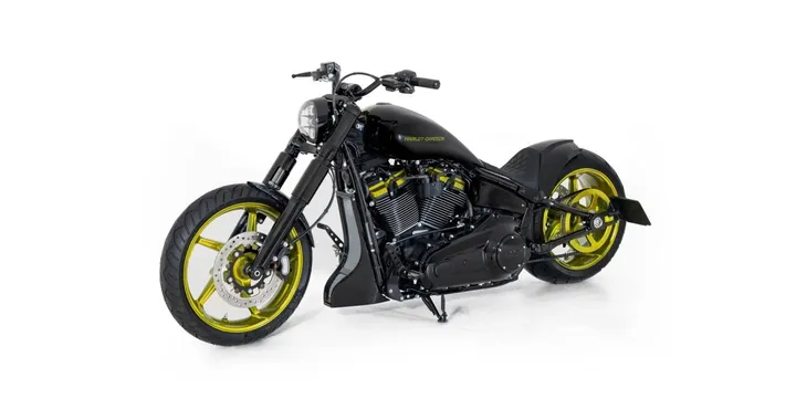 Questa Harley cambia pelle come un camaleonte: la Calumma di Bundnerbike