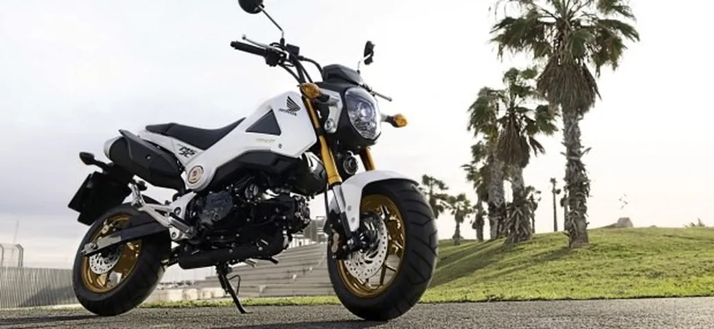 Honda MSX125: nuova combinazione colori 2014