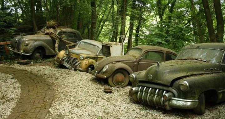 Auto Sculpture Park: quando la natura vince sulla tecnica