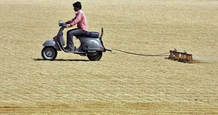 Foto del giorno: Vespa, una due ruote per tutti gli usi