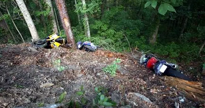 Foto del giorno: olio sull'asfalto...