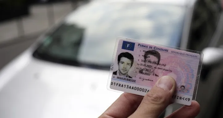 Entra in vigore la patente europea. Abolito il bollino per il rinnovo