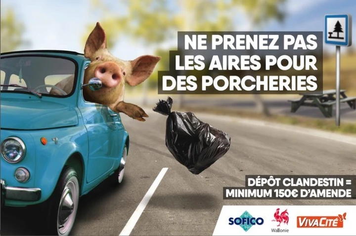 Un maiale lancia immondizia dalla Fiat 500: è polemica con il Belgio