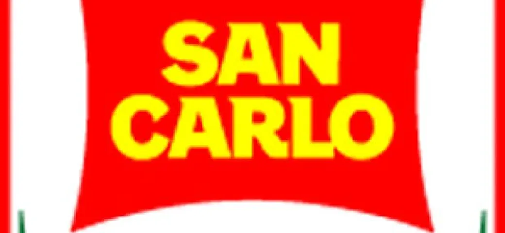 Il 2013 del nuovo San Carlo Team Italia