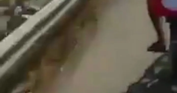 Cretini in autostrada