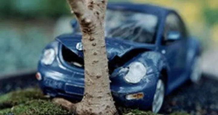 CrashBonsai
