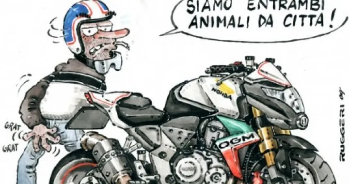 Animale da città