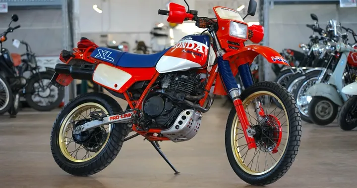 Honda XL600R Paris Dakar: il restauro firmato Ruote Celeri