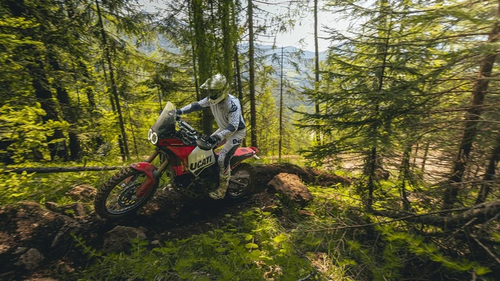 ingrandisci immagine