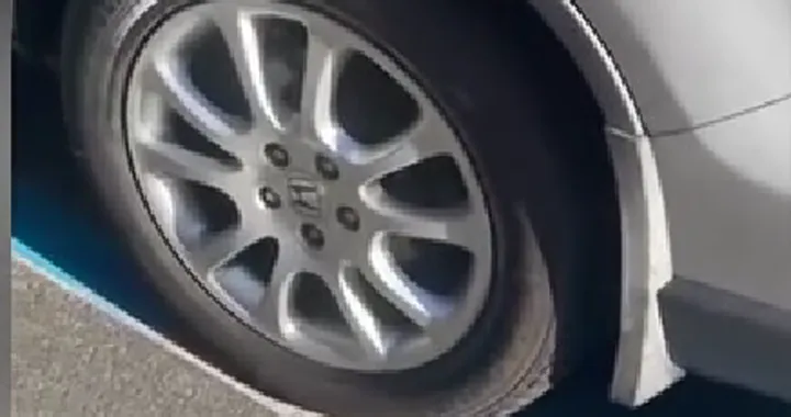 Parcheggia sulle strisce bianche, ma trova una multa: a Roma i posti diventano blu durante la notte