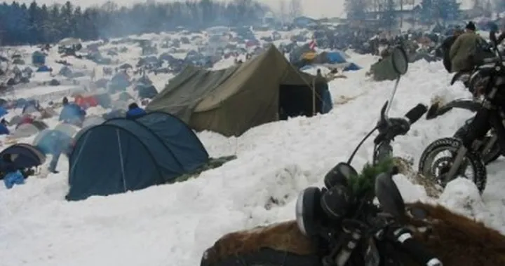 Elefantentreffen 2008