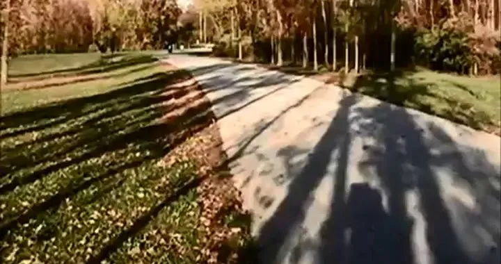 La Suzuki VX800 con motore da motoslitta