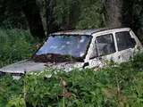 Fiat Panda mangiata dalla ruggine e dalla vegetazione, riparte dopo 17 anni