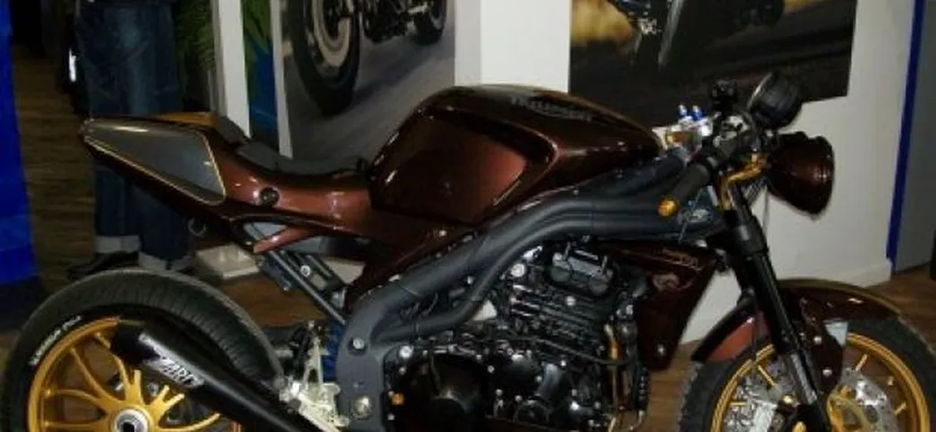 Special Triumph Speed Triple Brown'Racer