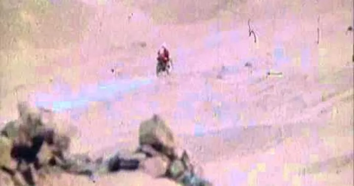 Tony Cairoli - On track