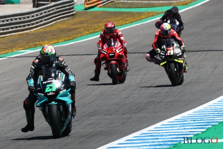 ingrandisci immagine